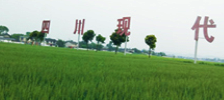 生产基地